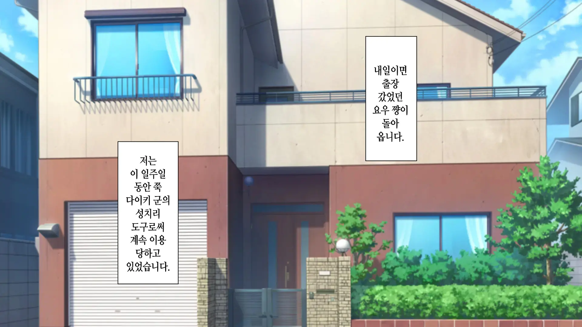 Aniyome Ga Ore No Mesu Ni Naru Made No Kiroku | 형수가 내 암컷이 되기까지의 기록